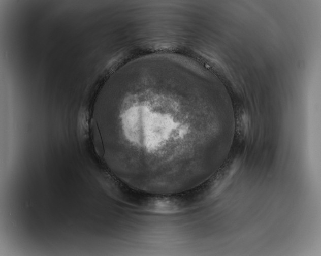 X0000094900264200712271458