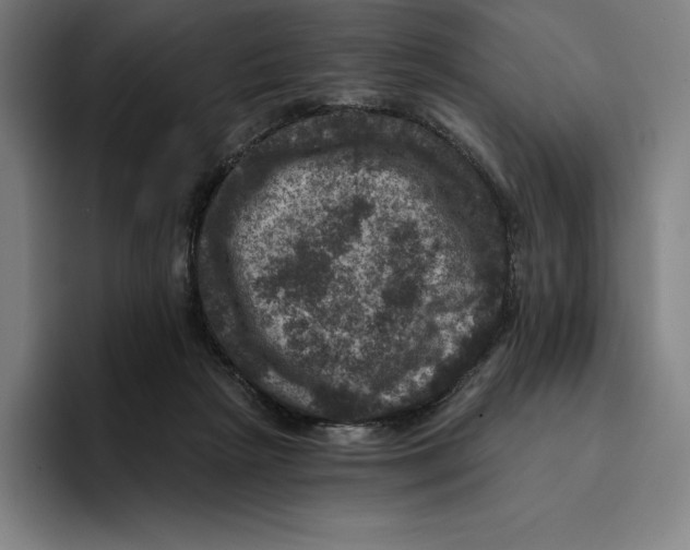 X0000094900265200712271458