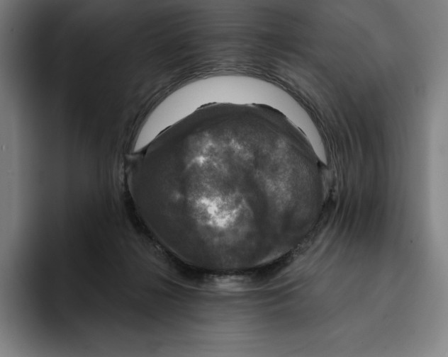 X0000094900268200712271458