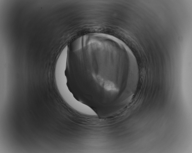 X0000094900270200712271458