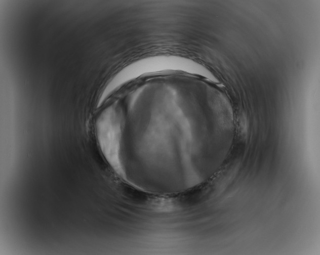 X0000094900276200712271458