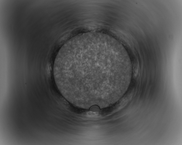 X0000094900279200712271458