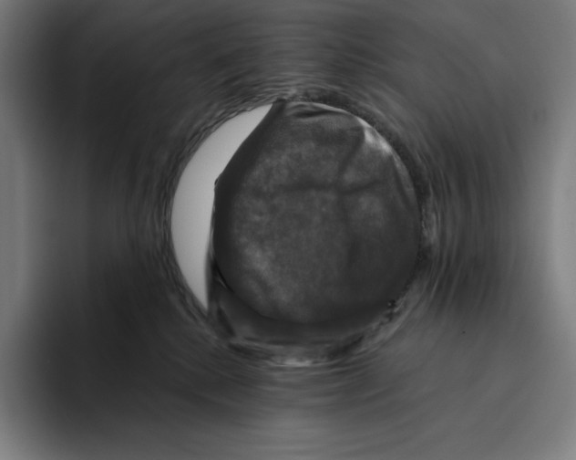 X0000094900280200712271458