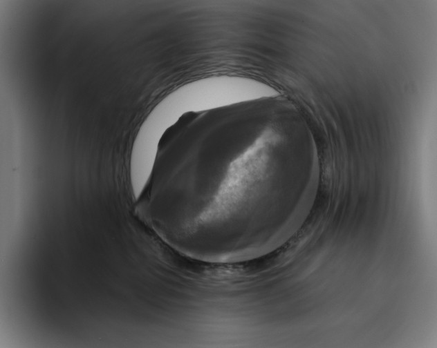 X0000094900282200712271458