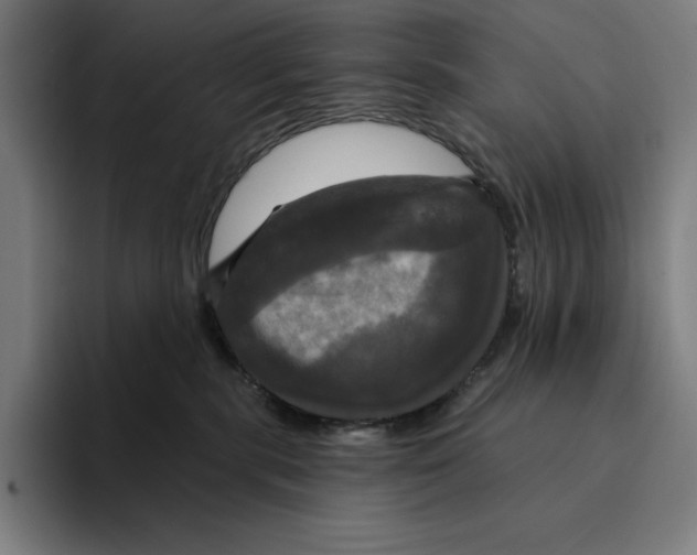 X0000094900283200712271458