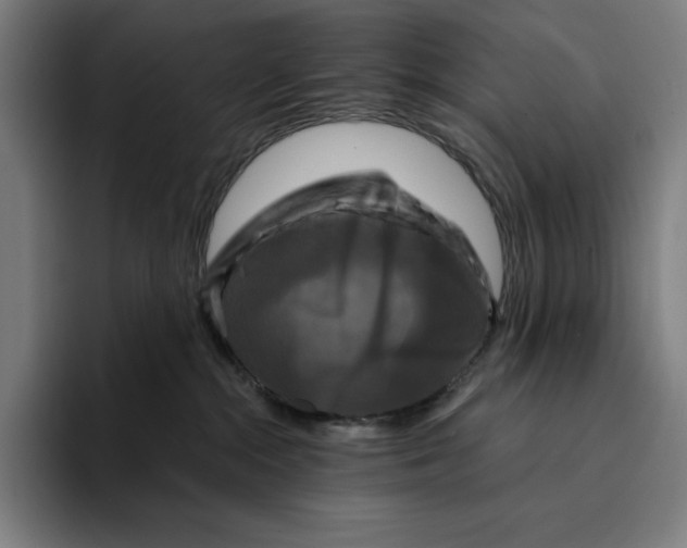 X0000094900284200712271458