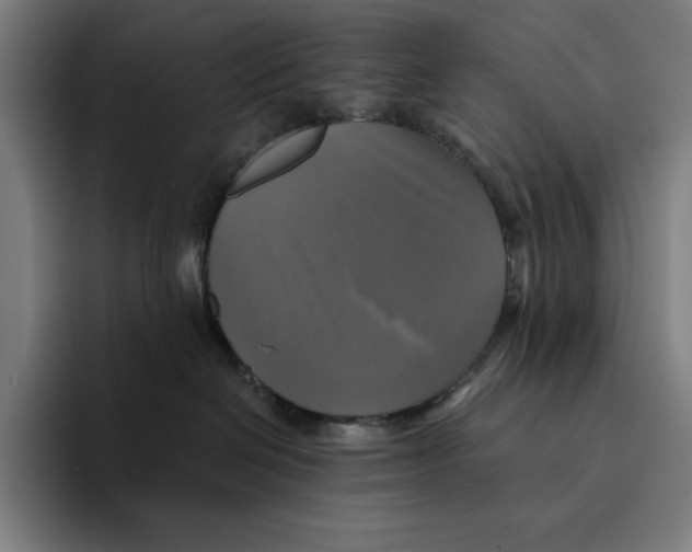 X0000094900286200712271458