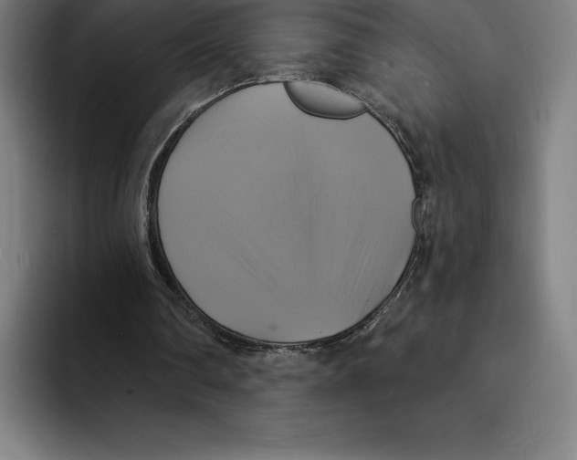 X0000094900290200712271458