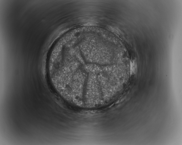 X0000094900291200712271458