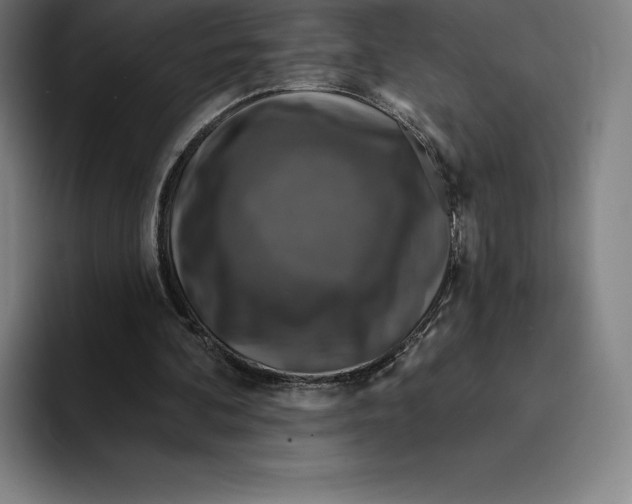 X0000094900292200712271458