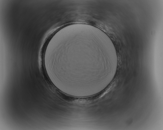 X0000094900294200712271458
