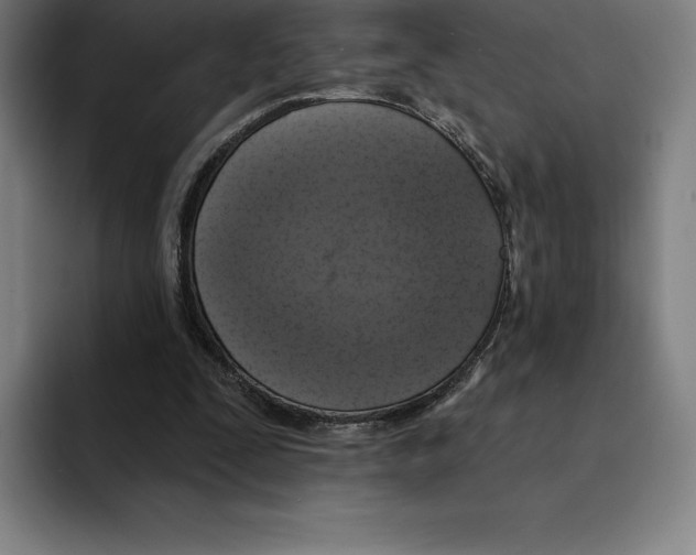 X0000094900295200712271458