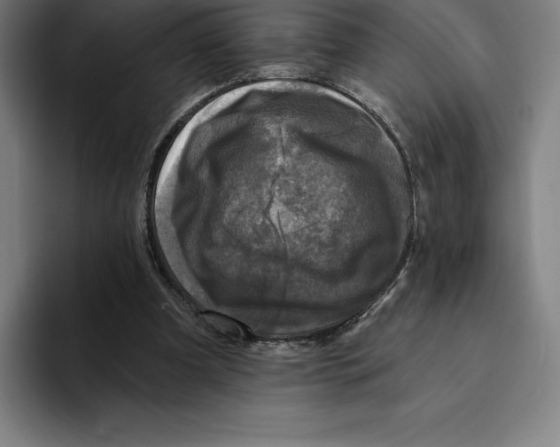 X0000094900297200712271458