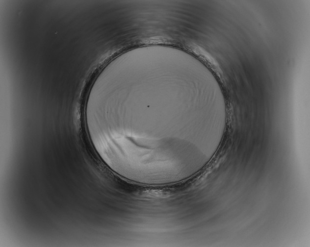 X0000094900298200712271458