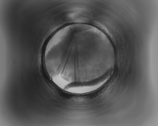 X0000094900299200712271458