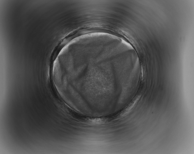 X0000094900301200712271458
