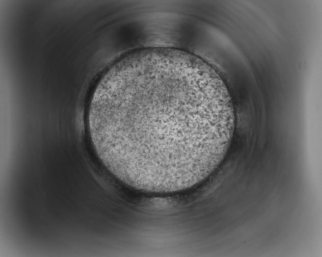 X0000094900302200712271458