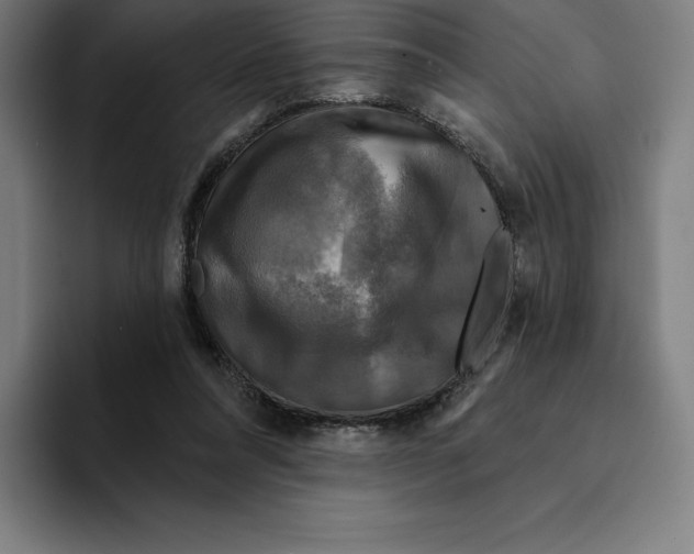 X0000094900304200712271458