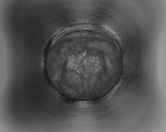 X0000094900305200712271458