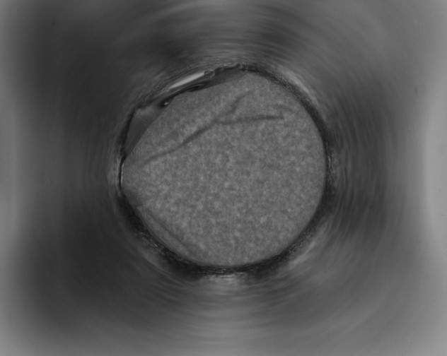 X0000094900307200712271457