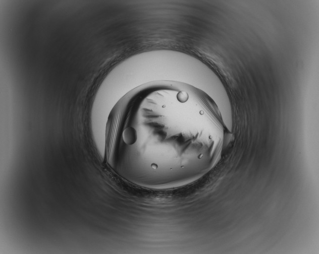 X0000094900308200712271457