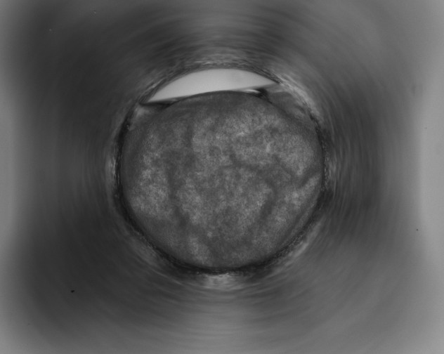 X0000094900309200712271457