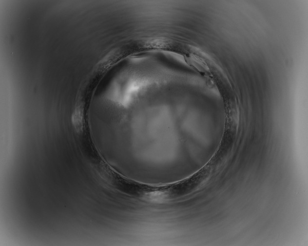 X0000094900312200712271457