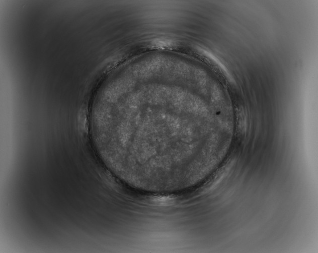 X0000094900313200712271457