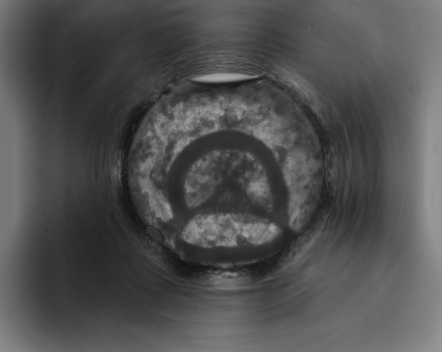 X0000094900315200712271457