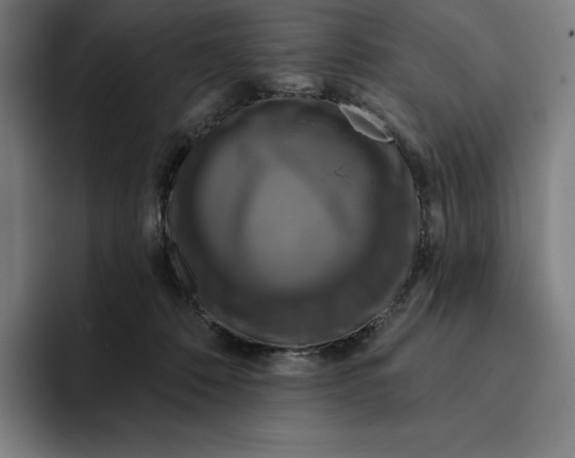 X0000094900320200712271457