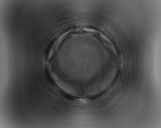 X0000094900324200712271457