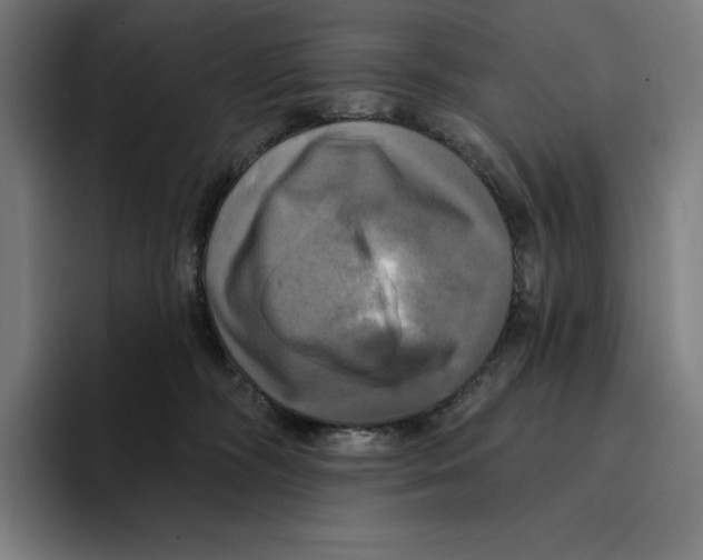X0000094900326200712271457