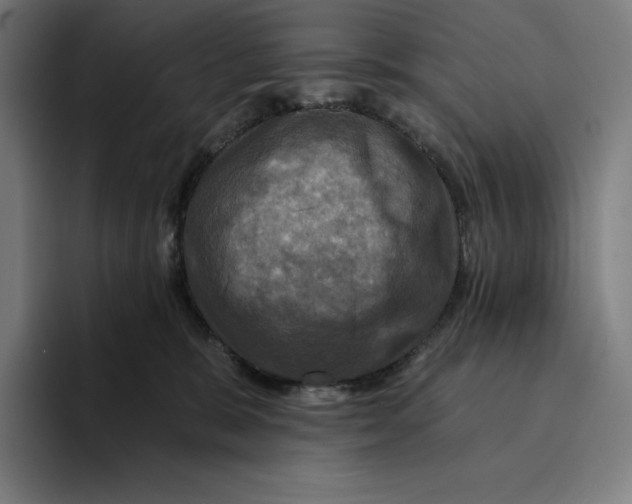 X0000094900327200712271457