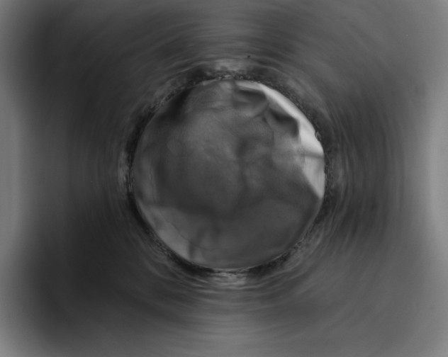 X0000094900328200712271457