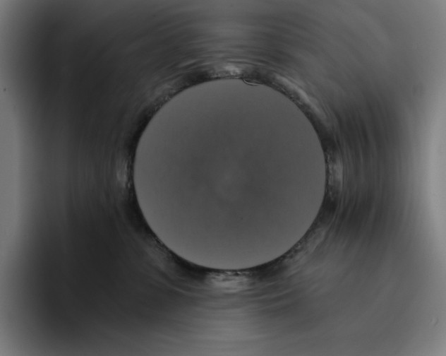 X0000094900331200712271457