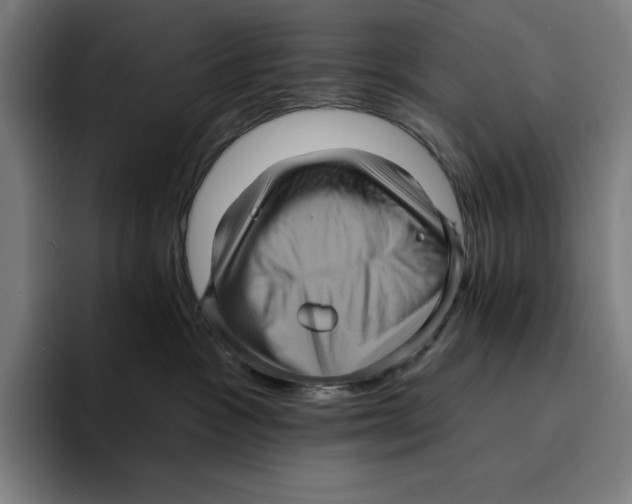 X0000094900333200712271457