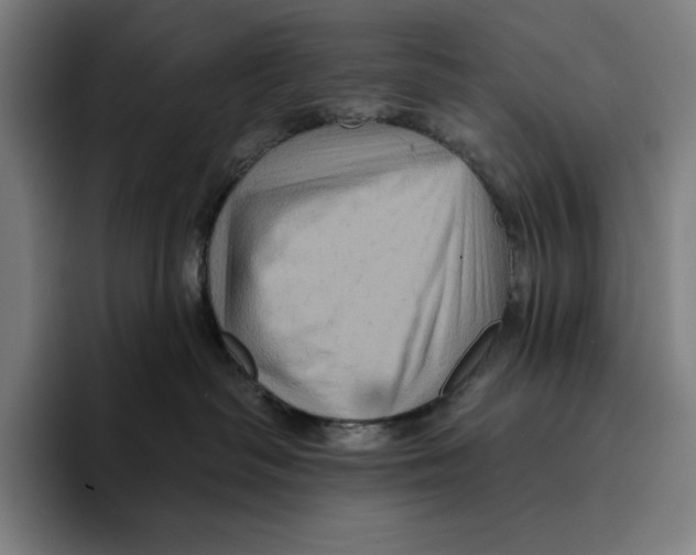 X0000094900334200712271457