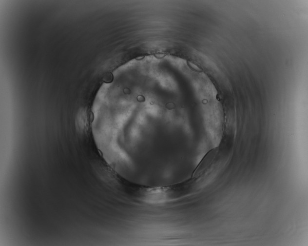 X0000094900335200712271457