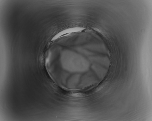 X0000094900336200712271457