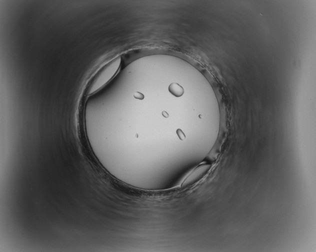 X0000094900340200712271457