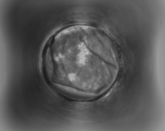 X0000094900342200712271457