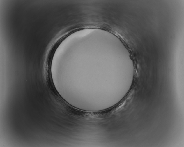 X0000094900343200712271457