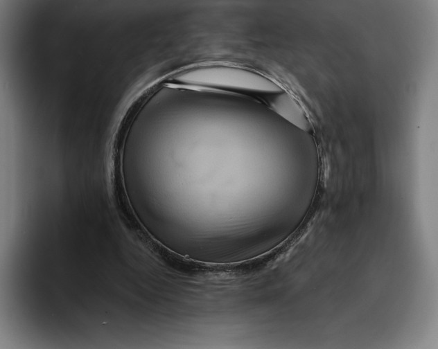 X0000094900344200712271457