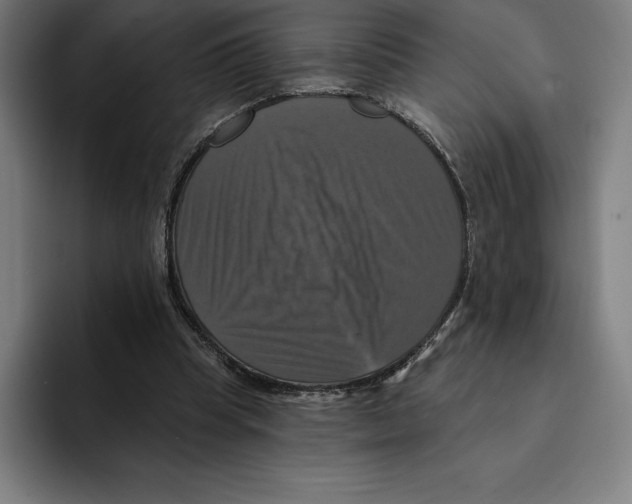 X0000094900345200712271457