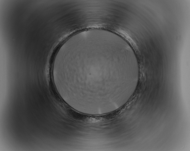 X0000094900346200712271457