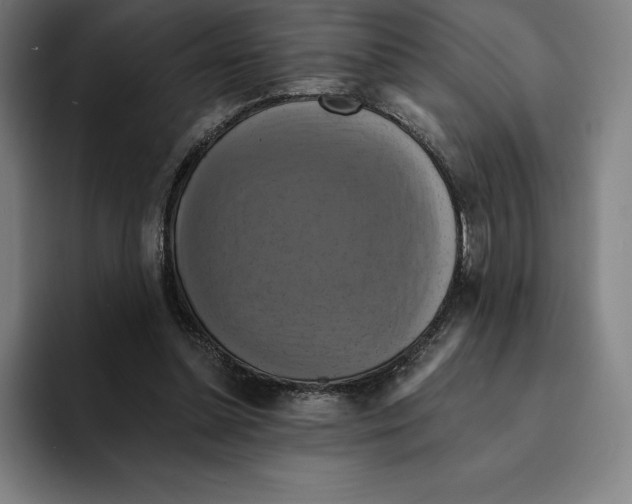 X0000094900348200712271457