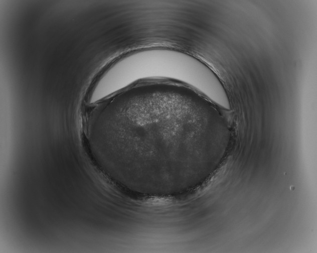 X0000094900350200712271457