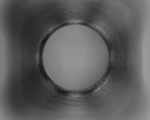 X0000094900351200712271457