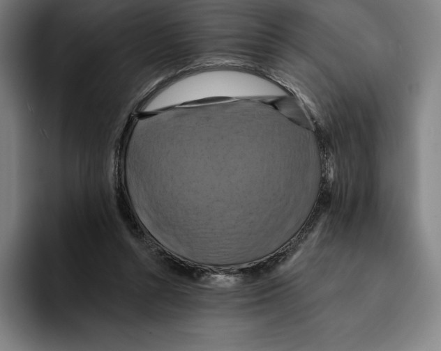 X0000094900352200712271457