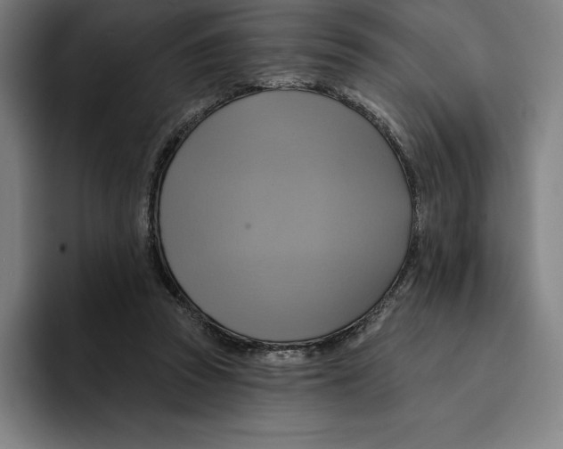 X0000094900353200712271457